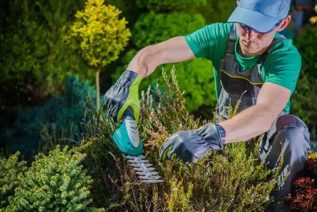 landscaping services Selden